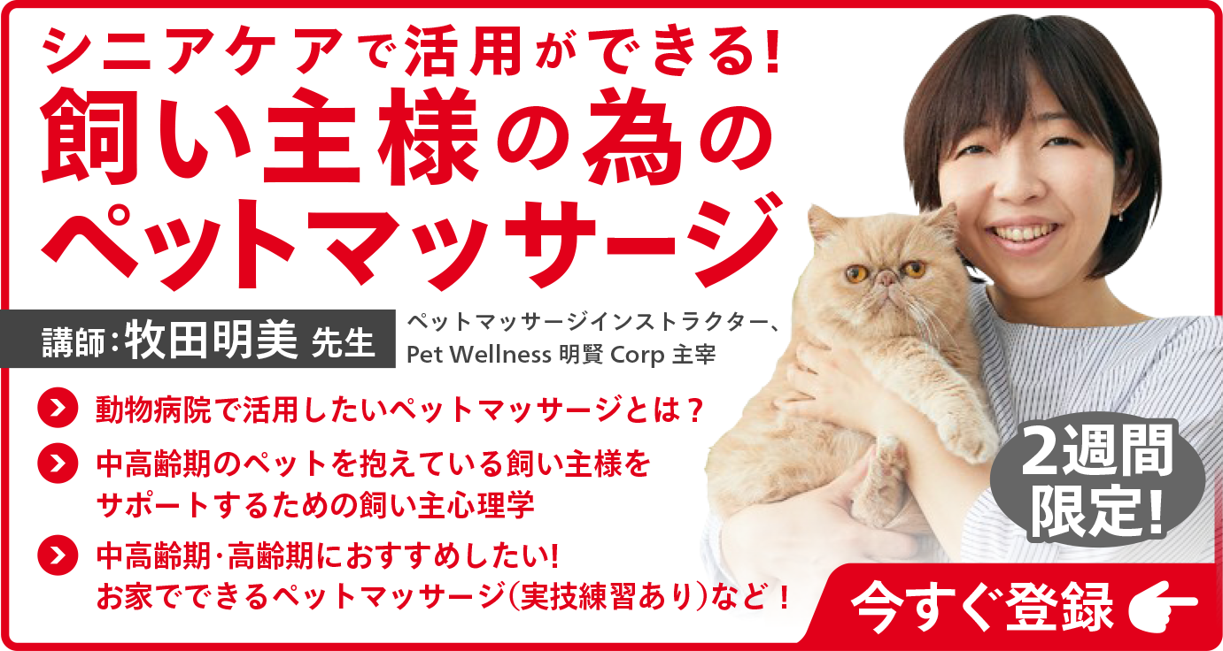 ペットマッサージ