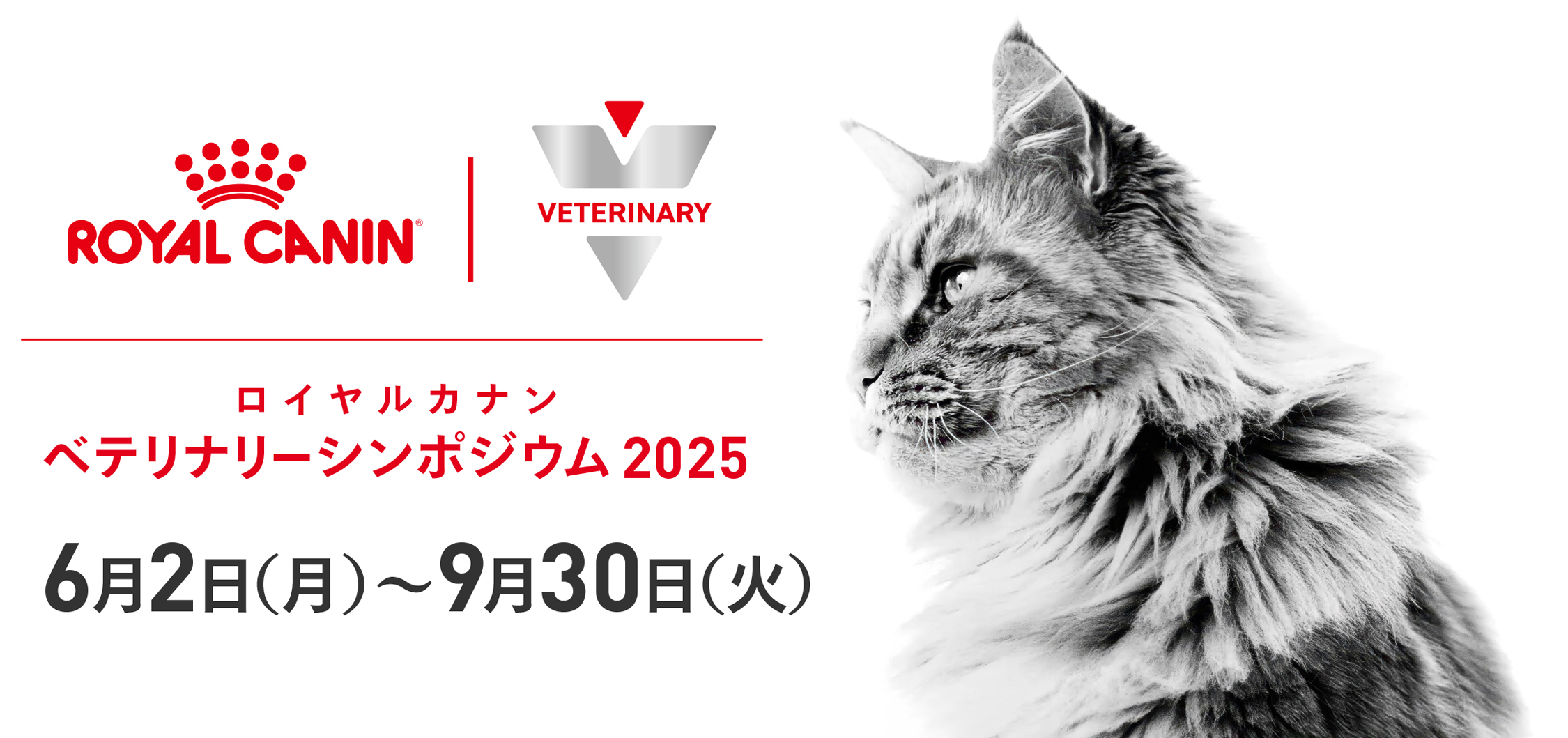 ロイヤルカナン ベテリナリーシンポジウム